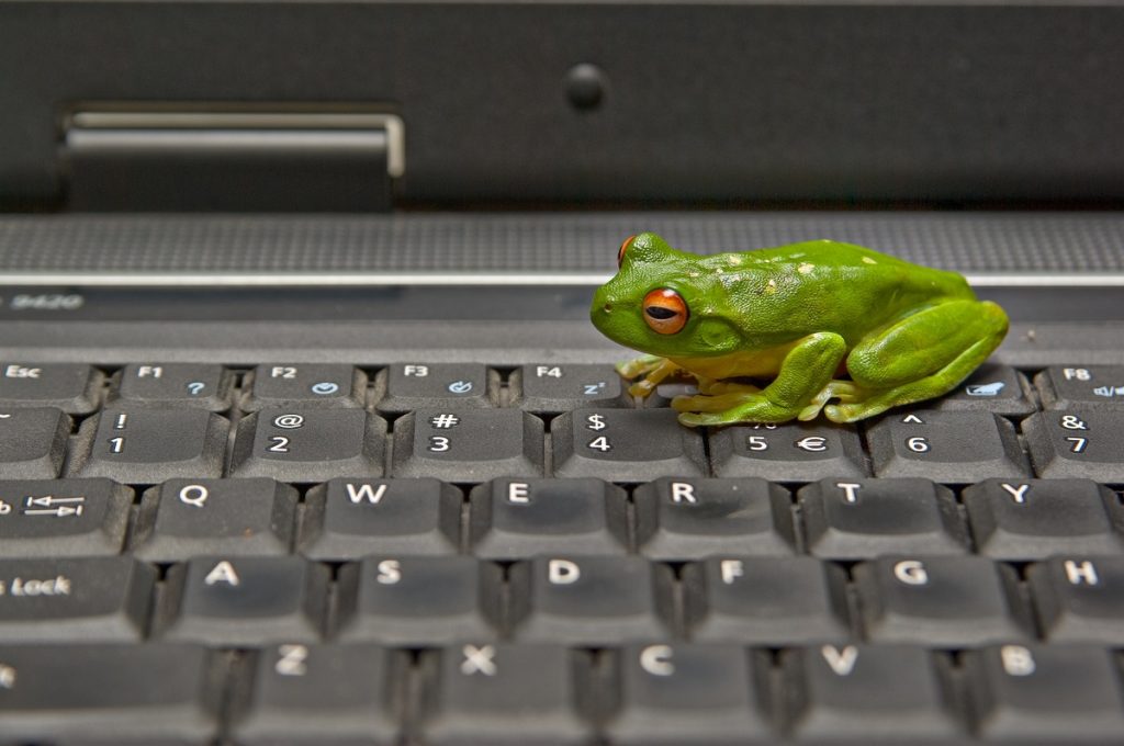 LeapFrog web design