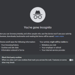 Incognito Mode search bar