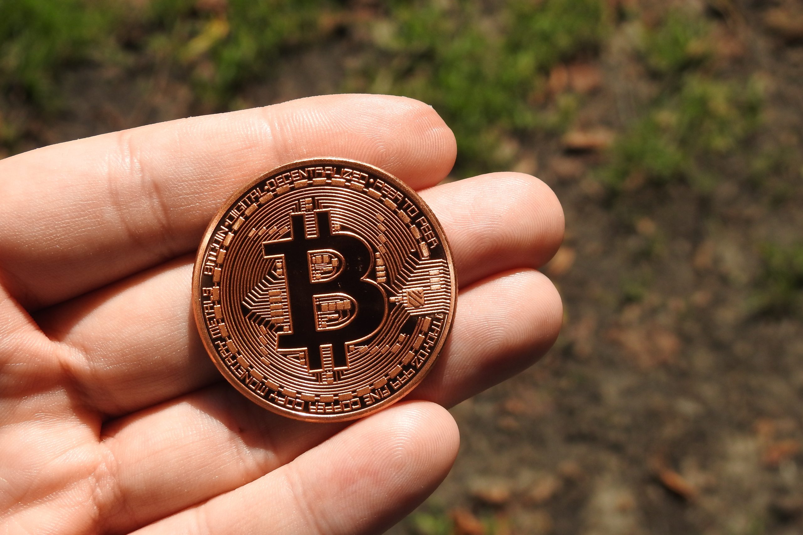 What Are The Best Crypto Hardware Wallets ThumbTube