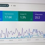 SEO stats