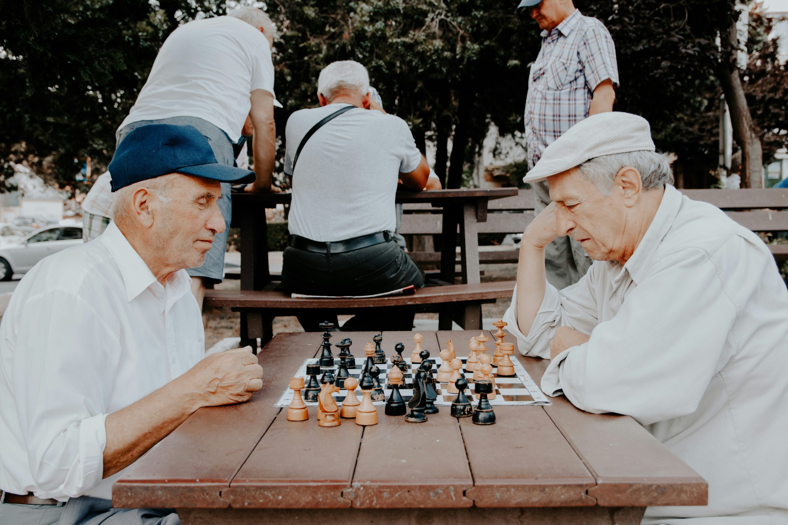 senior assistance chess