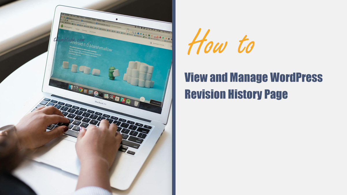 How to View and Manage WordPress Revision History Page